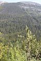 209 - Banff,Lake Louise,Morraine Lake  - IMG_0747